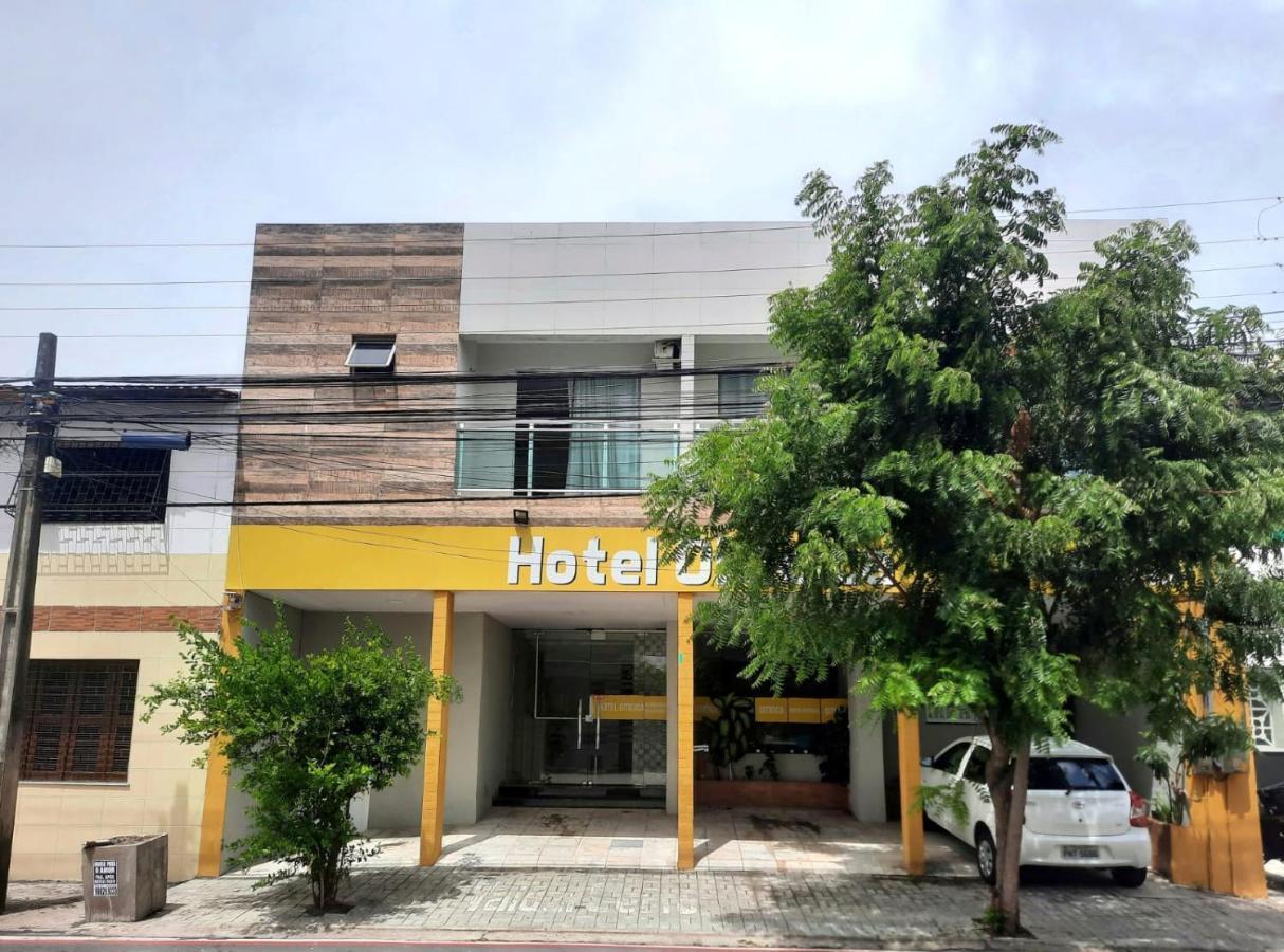 Oiticica * Fortaleza (Ceara)
